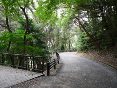永源山公園
