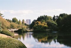 新宿御苑