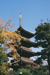旧寛永寺五重塔