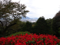 永源山公園