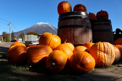 ハロウィン＝かぼちゃ＝仮装