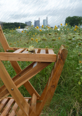 小雨の中で