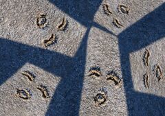 笑顔でえへ～5人兄弟