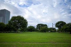 東京の空