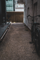 散歩路