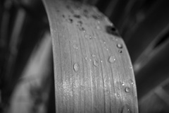雨上がり