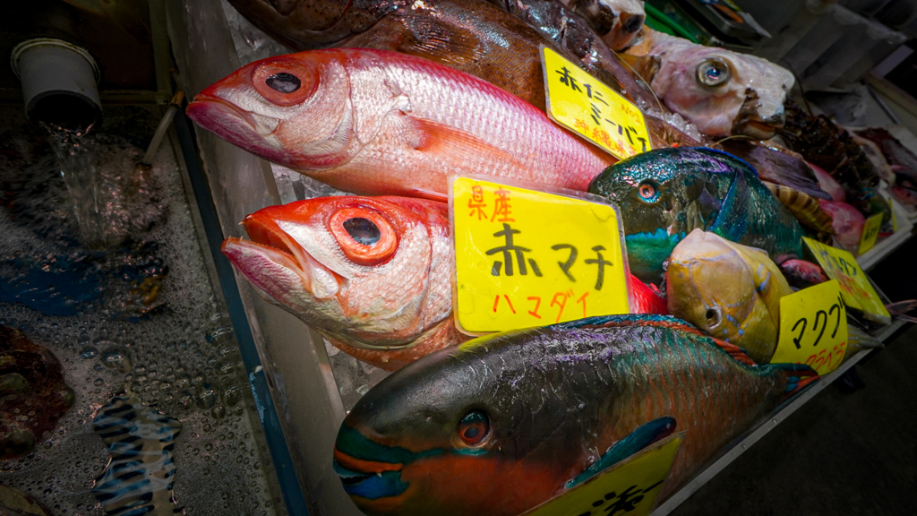 沖縄の鮮魚たち