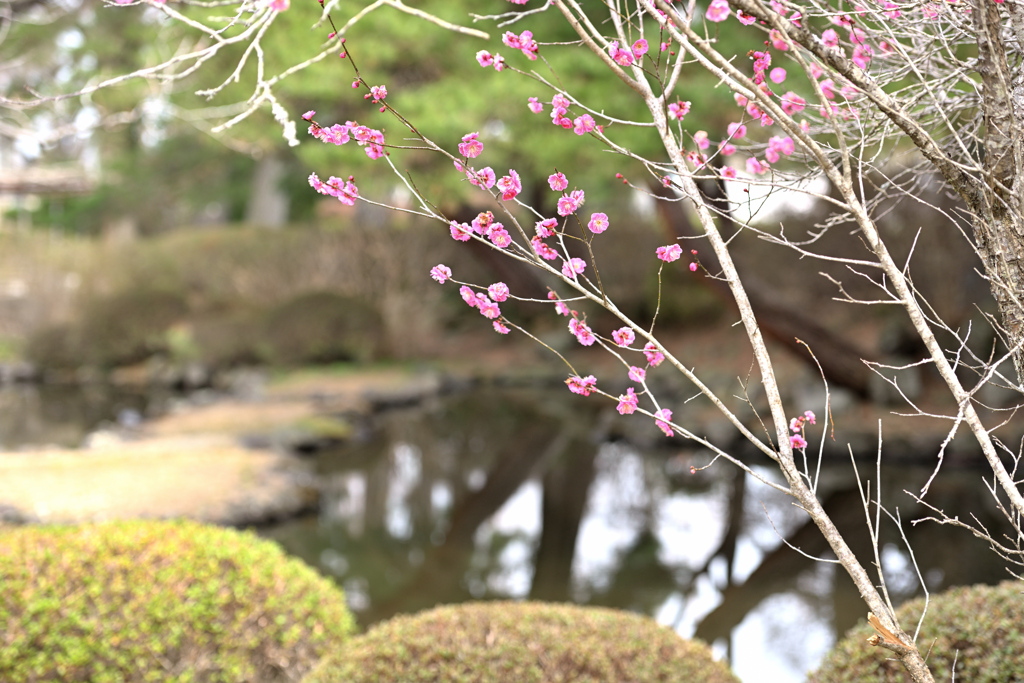 山の神をゆく ①