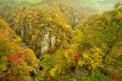 怠け者の秋景色 1