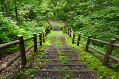 新緑の遊歩道を下る