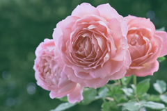 自己満photo/10月