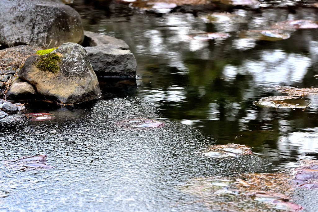 薄氷とのせめぎ合い