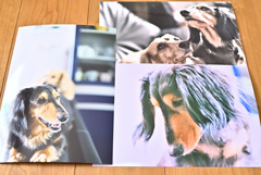 気分を取り直してYeah!/遺影