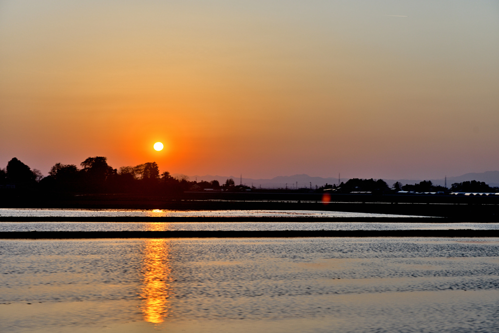 夕暮れ散歩
