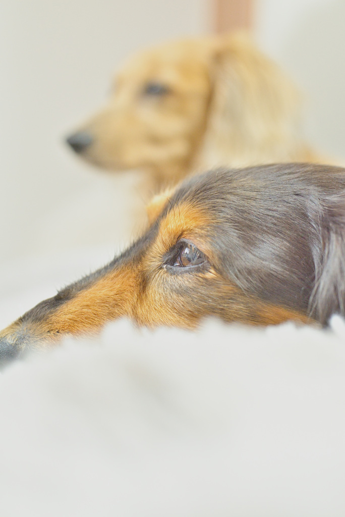 人換算、60半ばの初老たち