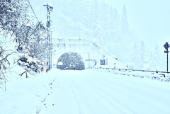 ホワイトアウトと言う名の白昼夢