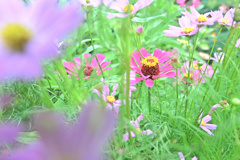 埋もれし仏花