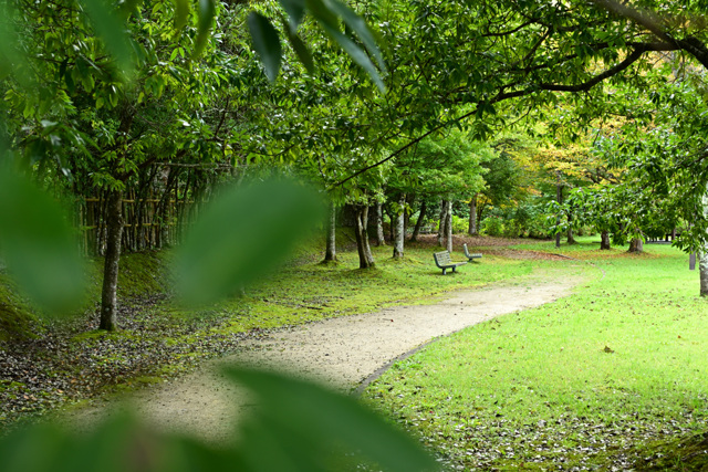 お気に入りの遊歩道
