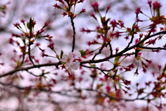 お疲れ、また来年 