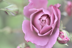 お蔵入りに光を