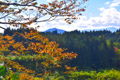 里山からの眺望