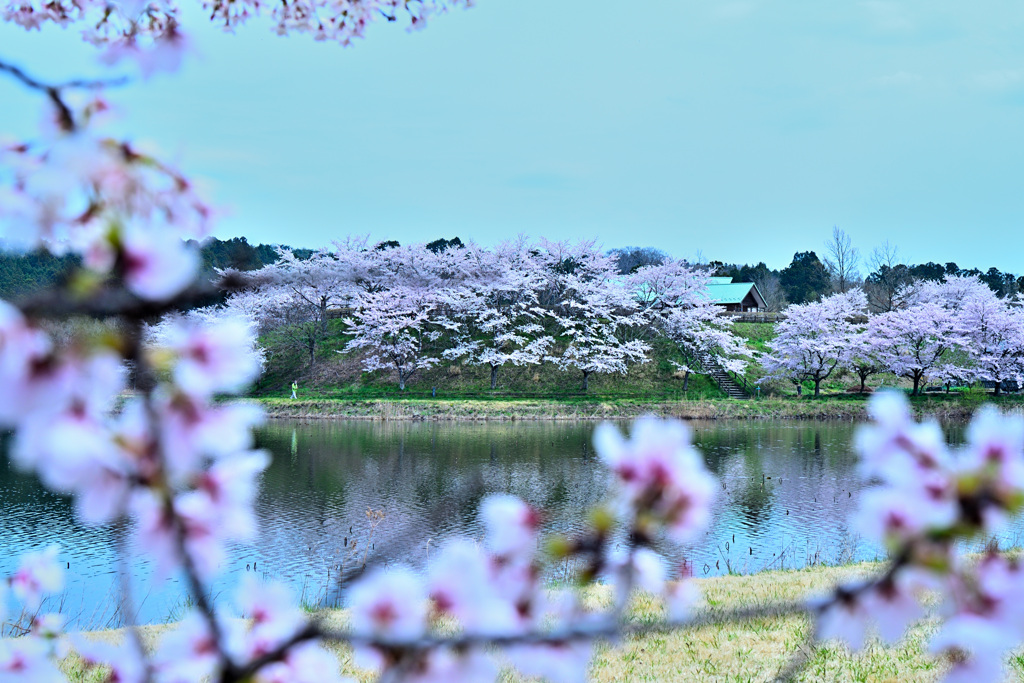 平筒沼ふれあい公園