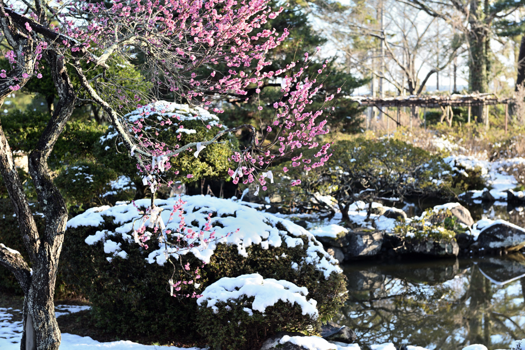 3月末の雪景色 ②