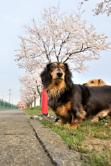 今年を振り返る、4月 ②