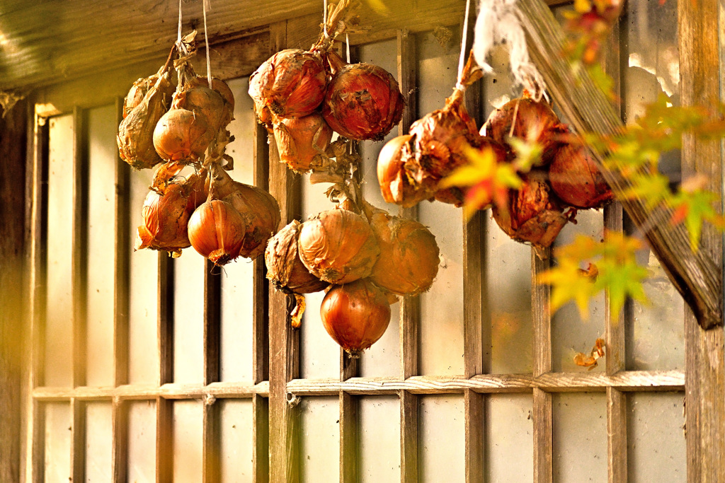 農家さんの彩り