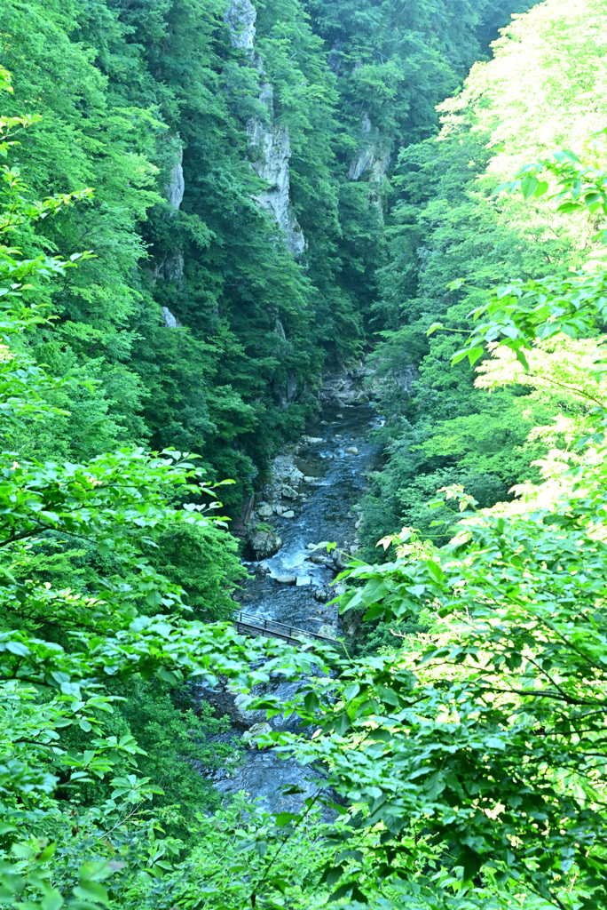 6月半ばの鳴子峡