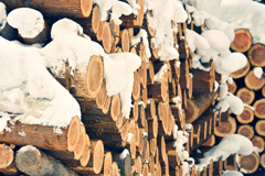 森のバウムクーヘン、ヨーグルトソースで召し上がれ