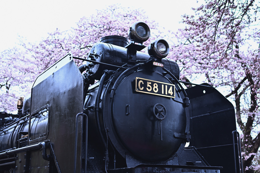 C58114