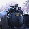 C58114