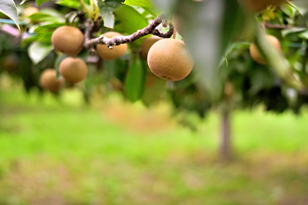 今年を振り返る、8月