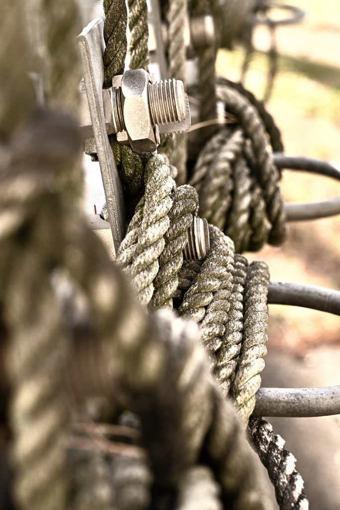 巷のロープワーク