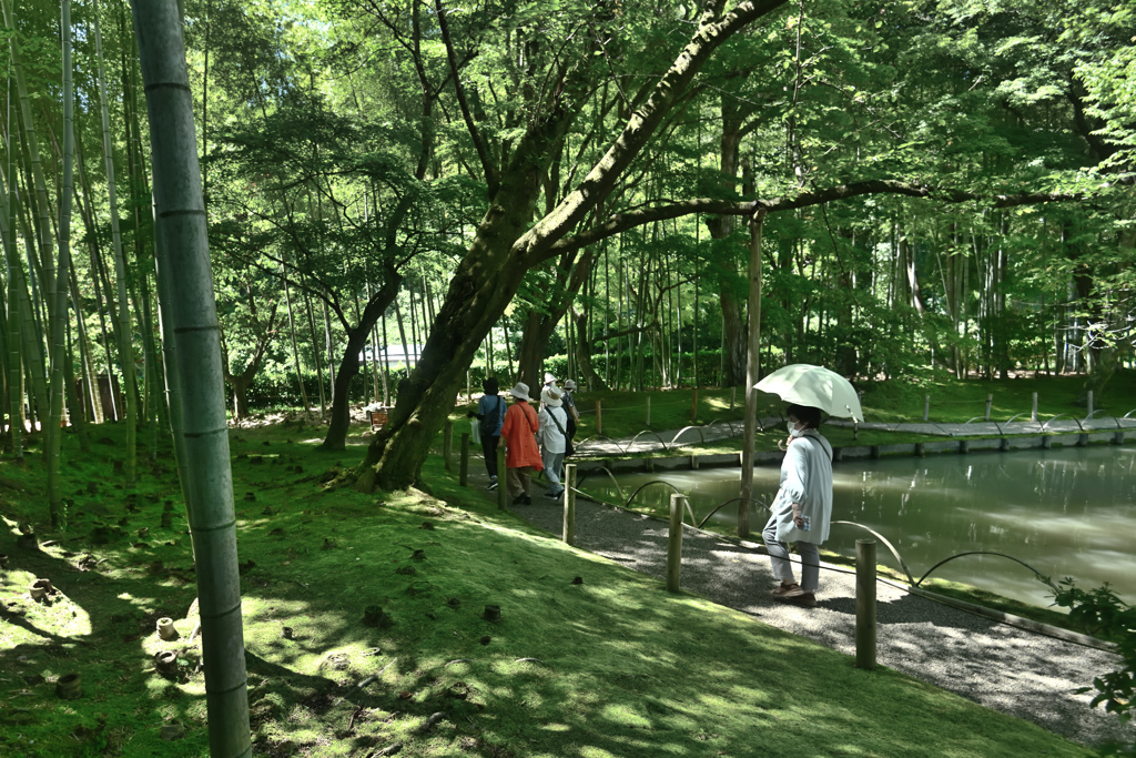 晩夏の紫外線