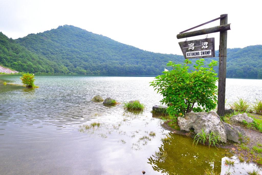 お勧めできない