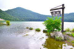 お勧めできない