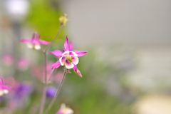 今年を振り返る、5月 ①