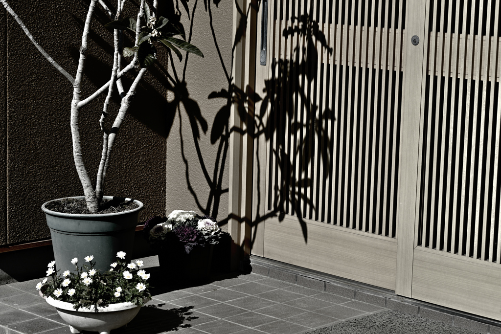 春をほのめかすような日