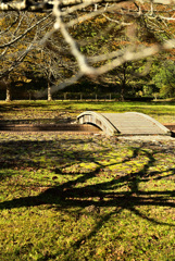 熊出没緊急事態宣言