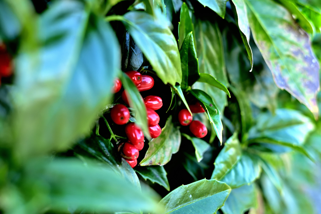 Spring has come! ⑳