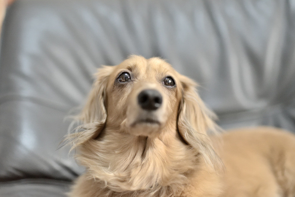 良いお年をお迎え下さい