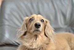 良いお年をお迎え下さい