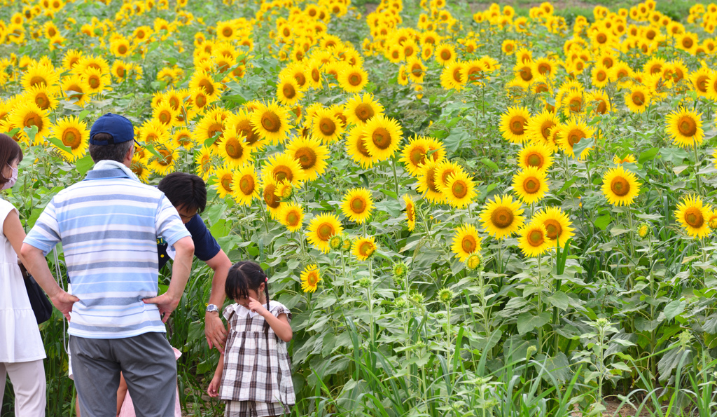 あとでアイス買ってやっから