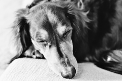 くう寝るあそぶ