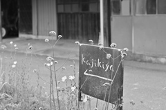 ご近所をゆく