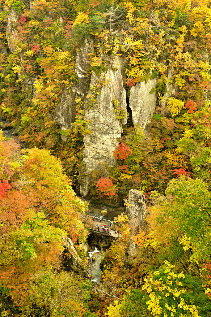怠け者の秋景色 2