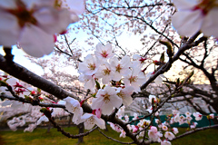 Spring has come! 28