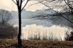 湖畔公園①